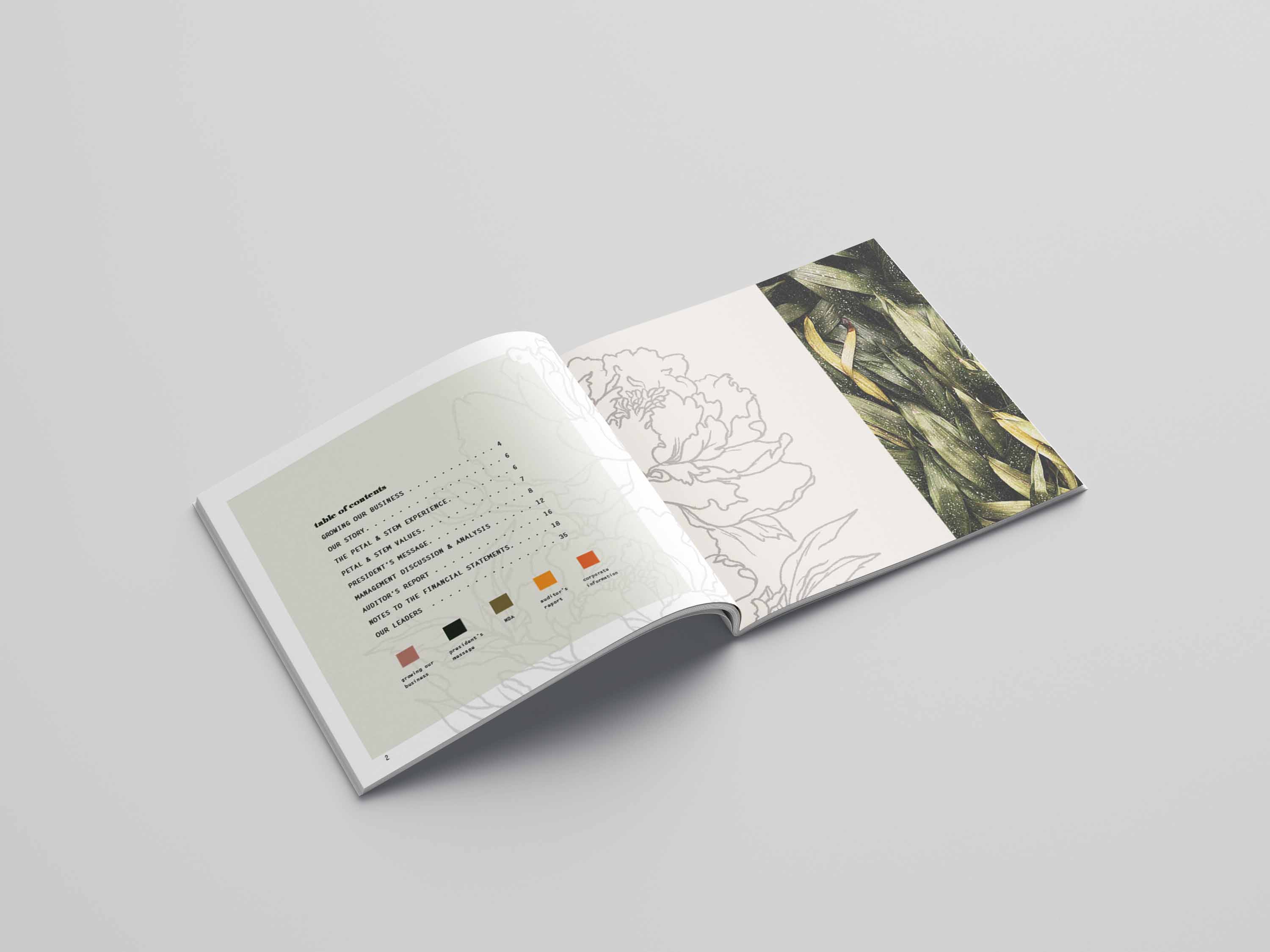 table of contents spread