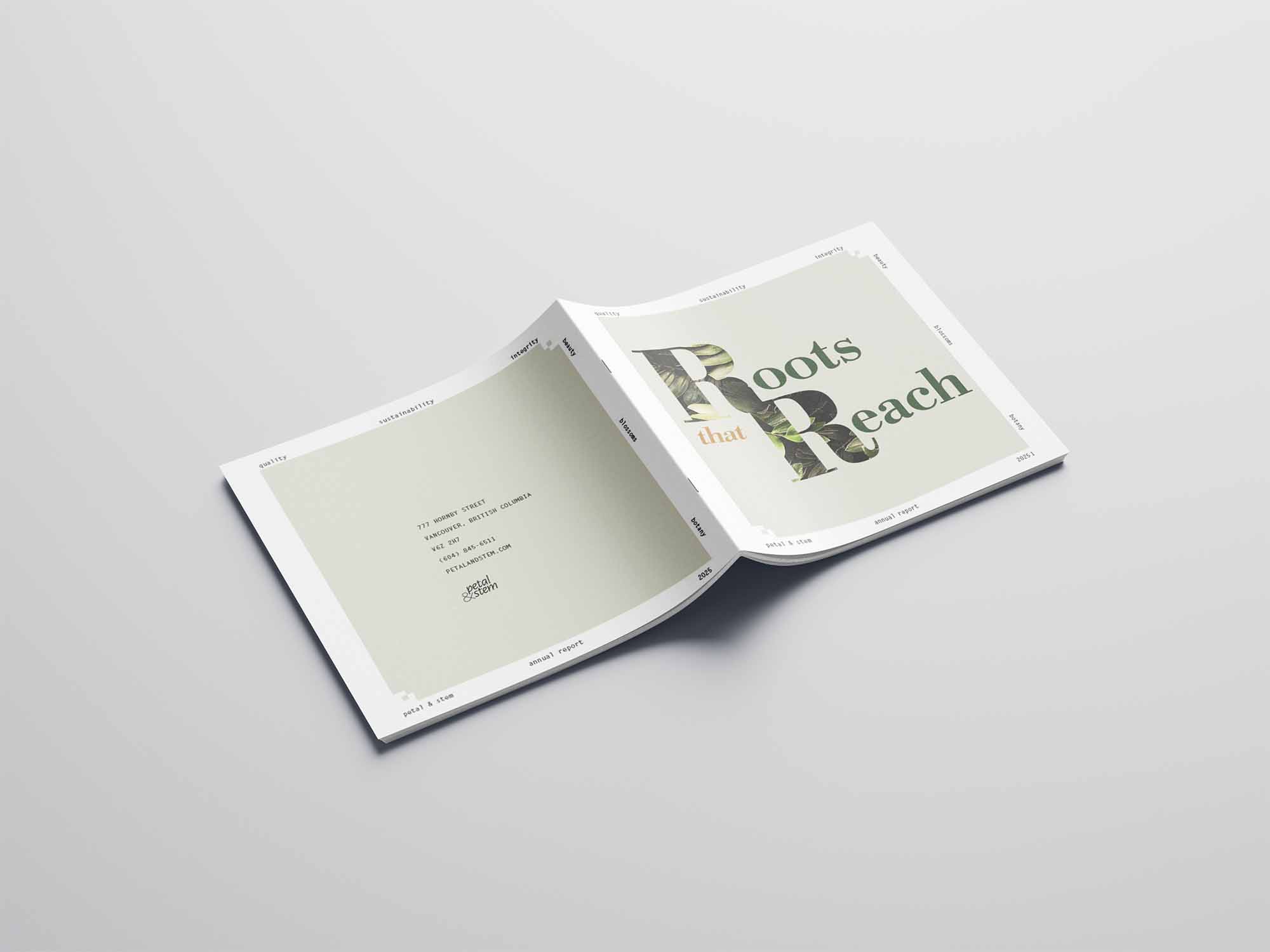 front and back covers