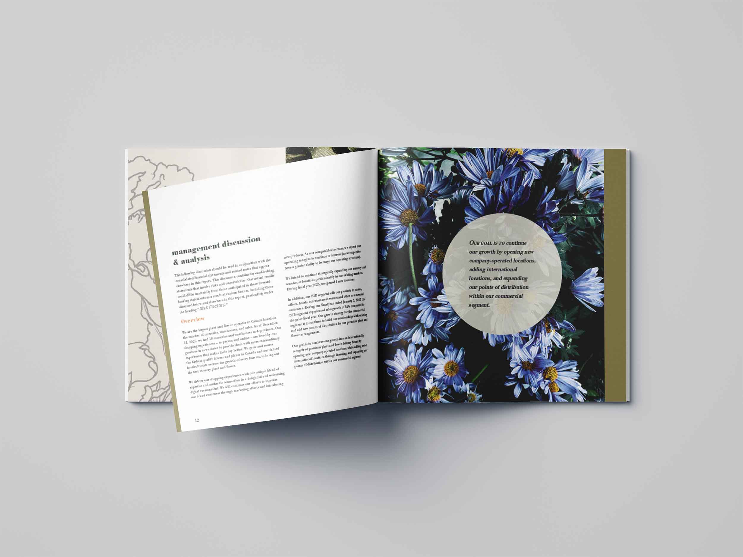 page with text and a transparent image of blue flowers