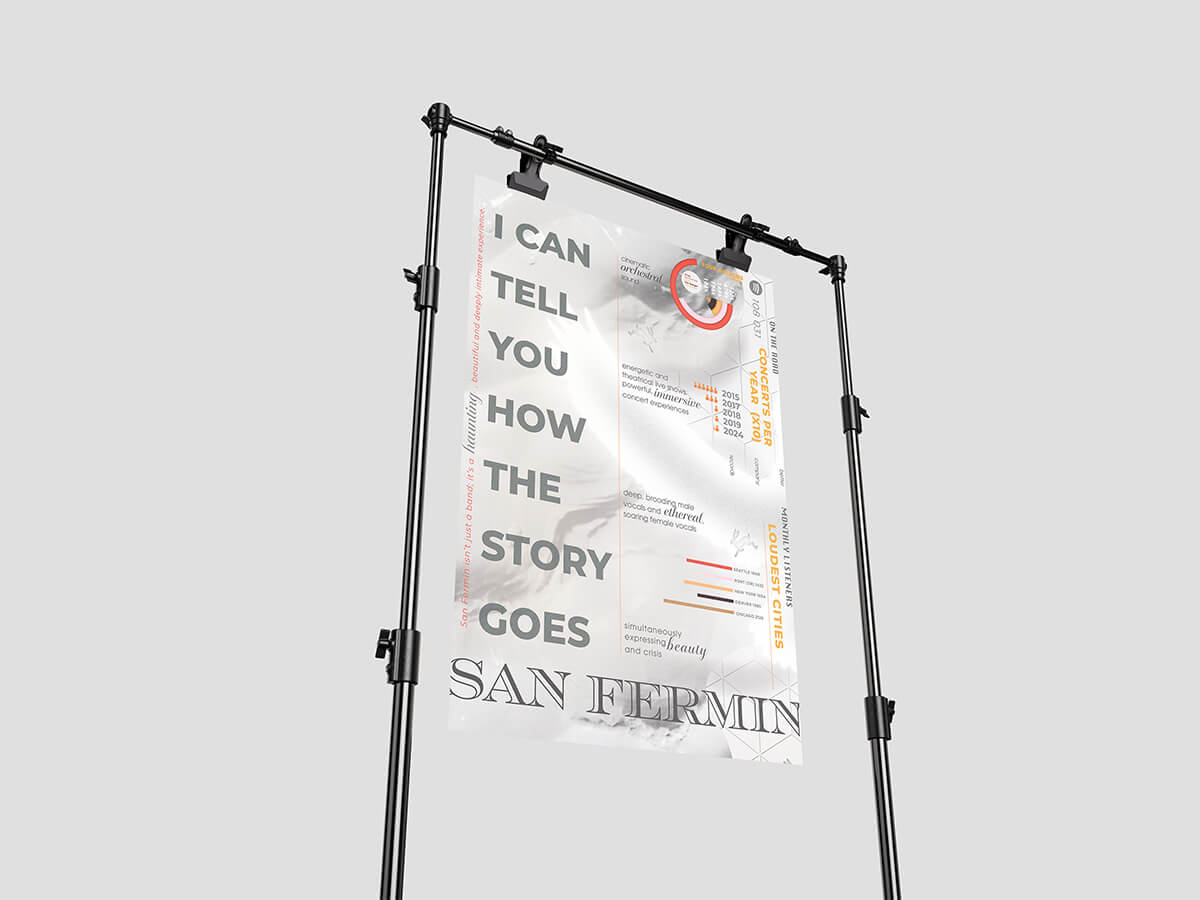 Infographic Poster